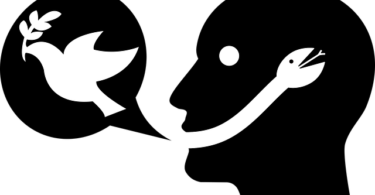 6 Major Lies Narcissists Tell You